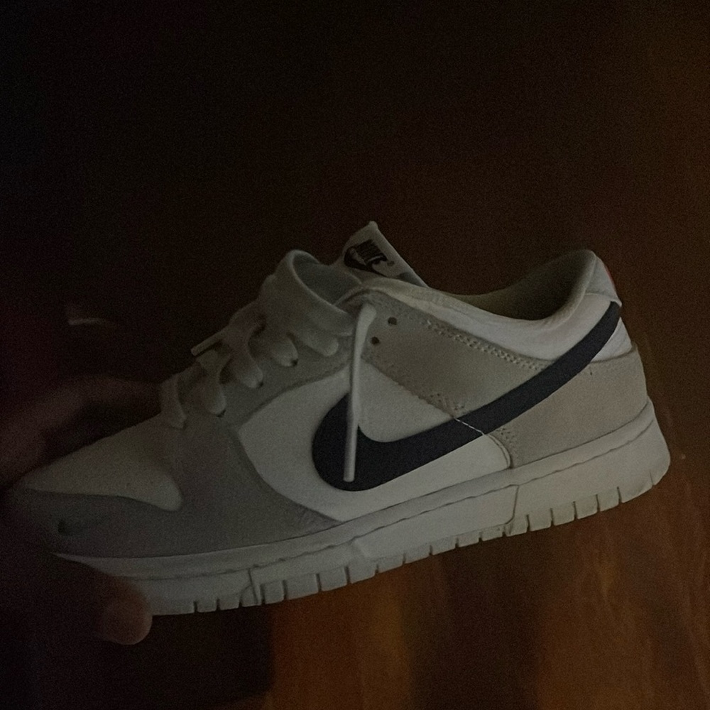 nike dunk low
